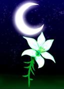 Moonlight Sickness