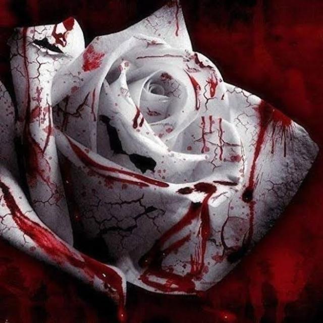 Crowned in Blood