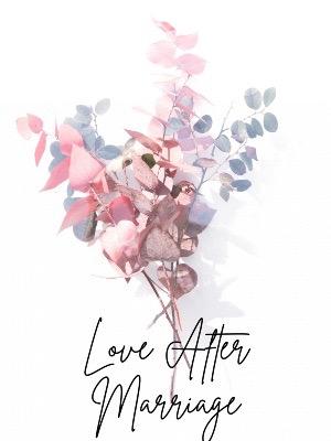 Love After Marriage