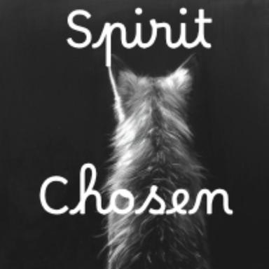 Spirit Chosen 