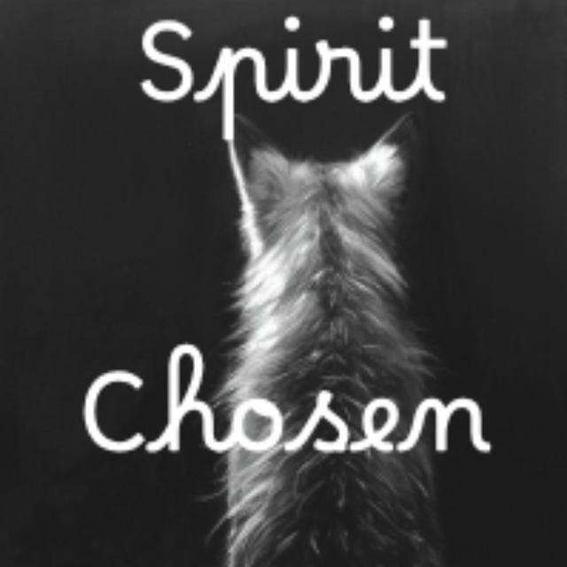 Spirit Chosen 
