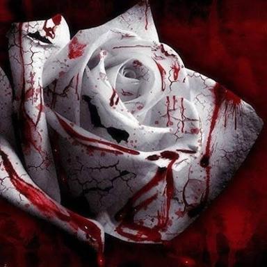 Crowned in Blood